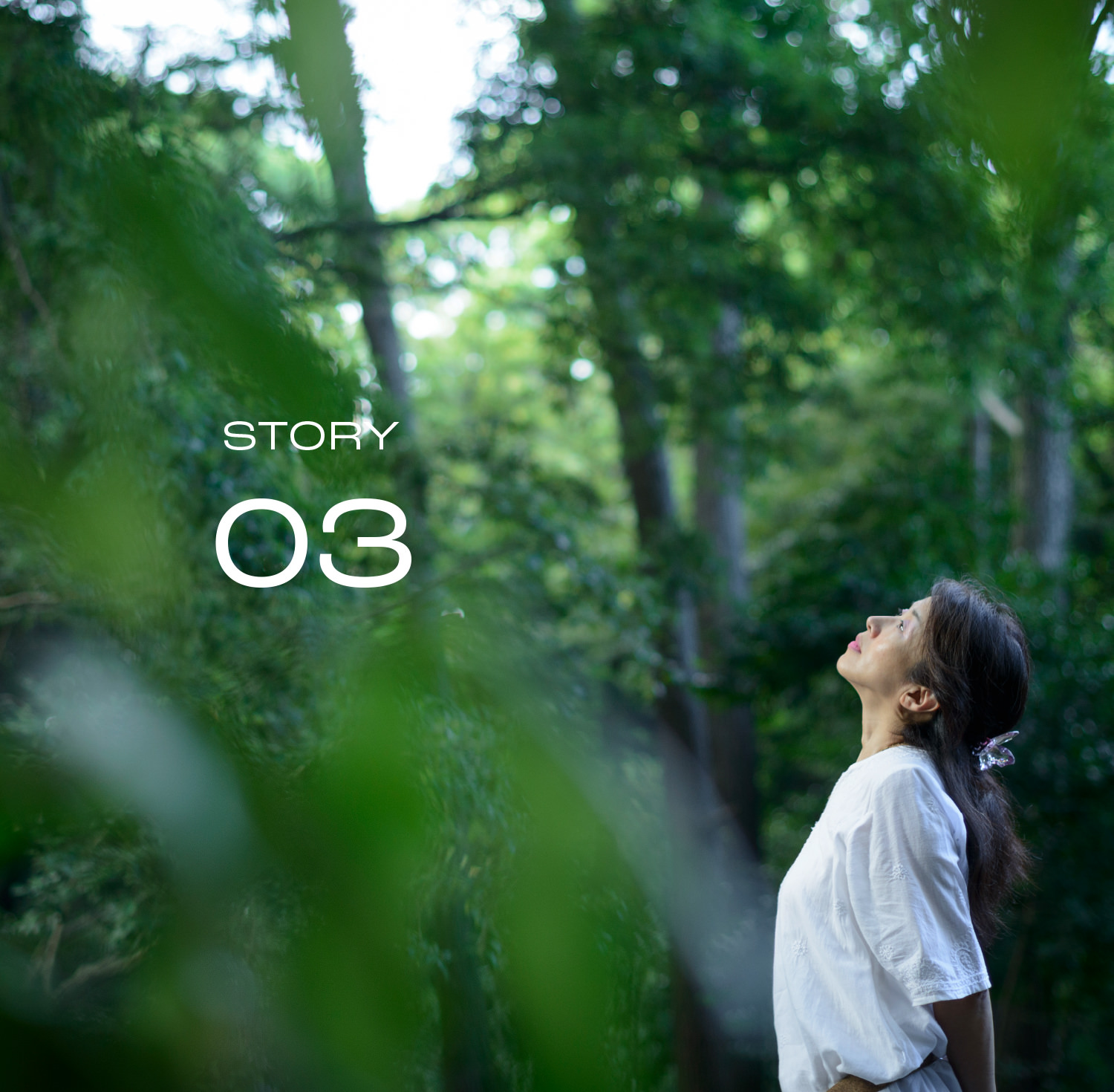 story03のイメージ画像